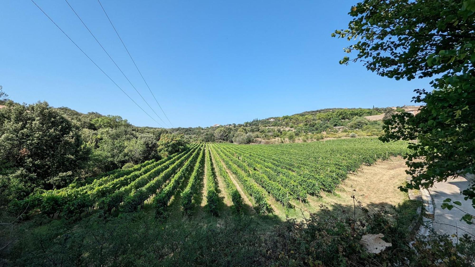 فندق La Galante Faugères المظهر الخارجي الصورة